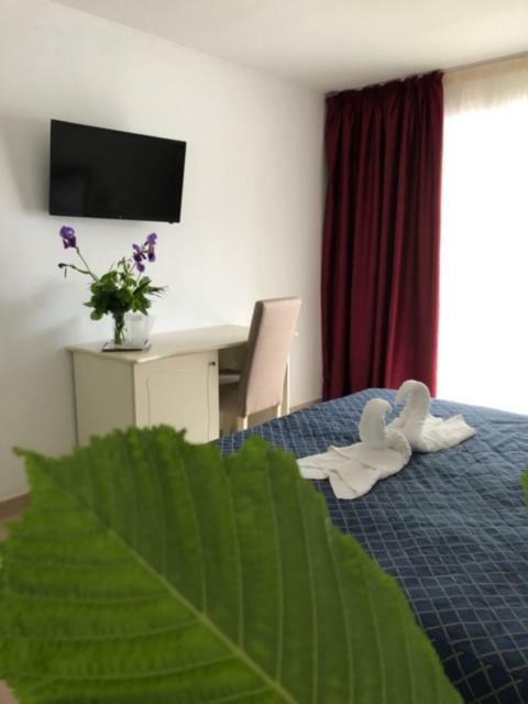 Academy Hotel Venus Εξωτερικό φωτογραφία