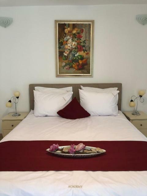 Academy Hotel Venus Εξωτερικό φωτογραφία